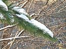 Winter 4