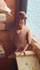 IMG-20240130-WA0043