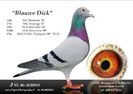 BLAUWE Dick