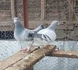 received_492213266456226