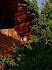 IMG-20231019-WA0003