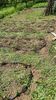 IMG-20230515-WA0007