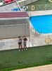 IMG-20230611-WA0012