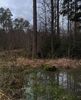 I′m all bogged down with thiṥ wet weather