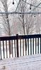 WINTER in Canada 2