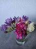 Img.2023.06.13