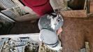 IMG-20240302-WA0012