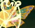 winx (5)