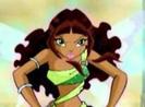 winx (60)