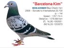 1 int Barcelona 2008