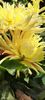 received_709750234699341