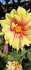 received_488437403604291