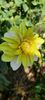 received_2816578798482411