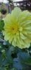 received_280496581755116
