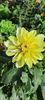 received_381308428057900