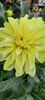 received_3639441752991865