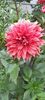 received_1087632185778957