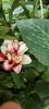received_1078058783425503