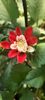 received_851487380076405