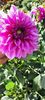 received_812934920854231