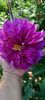 received_762956799138857
