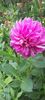 received_474202841600634