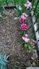 IMG-2024.03.23