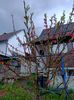 Img.2024.03.23