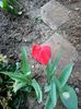 Img.2024.03.23