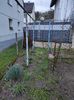 Img-2024.03.24