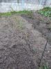 Img-2024.03.24