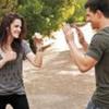 Taylor_Lautner_1250940623_2