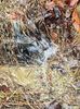 Mini Water Fall--Cascada