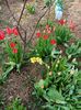 Img.2024.04.05