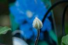 _DSC0427
