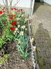 Img.2024.04.08