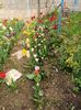 Img.2024.04.08