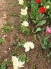 Img.2024.04.08