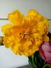 Img.2024.04.08