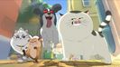 Pet Hotel.