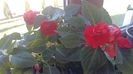 IMG-20240326-WA0006