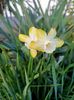Img.2024.04.12