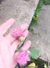 IMG20240417185446