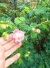 IMG20240417185250