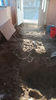 IMG-20220328-WA0003