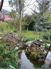 IMG-20240422-WA0081