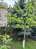 IMG-20240422-WA0083
