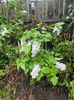 IMG-20240422-WA0093