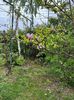 IMG-20240422-WA0094