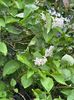 IMG-20240422-WA0095
